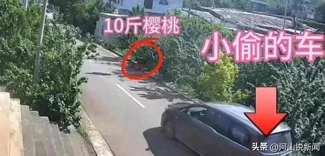 贵州毕节“樱桃被偷”后续：车牌号被扒出，基本锁定是四川成都