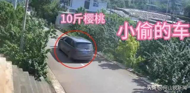 贵州毕节“樱桃被偷”后续：车牌号被扒出，基本锁定是四川成都